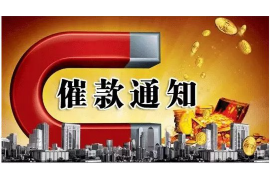 蓬江蓬江讨债公司服务